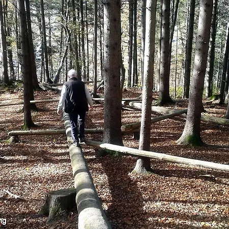 Lägenhet Haus Margrit In Sonnenlage *